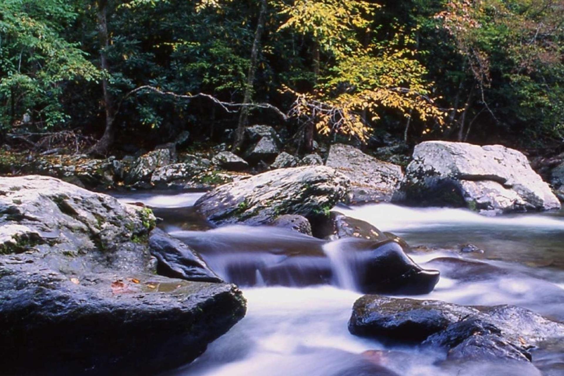 Hidden Hollow Pigeon Forge Extérieur photo