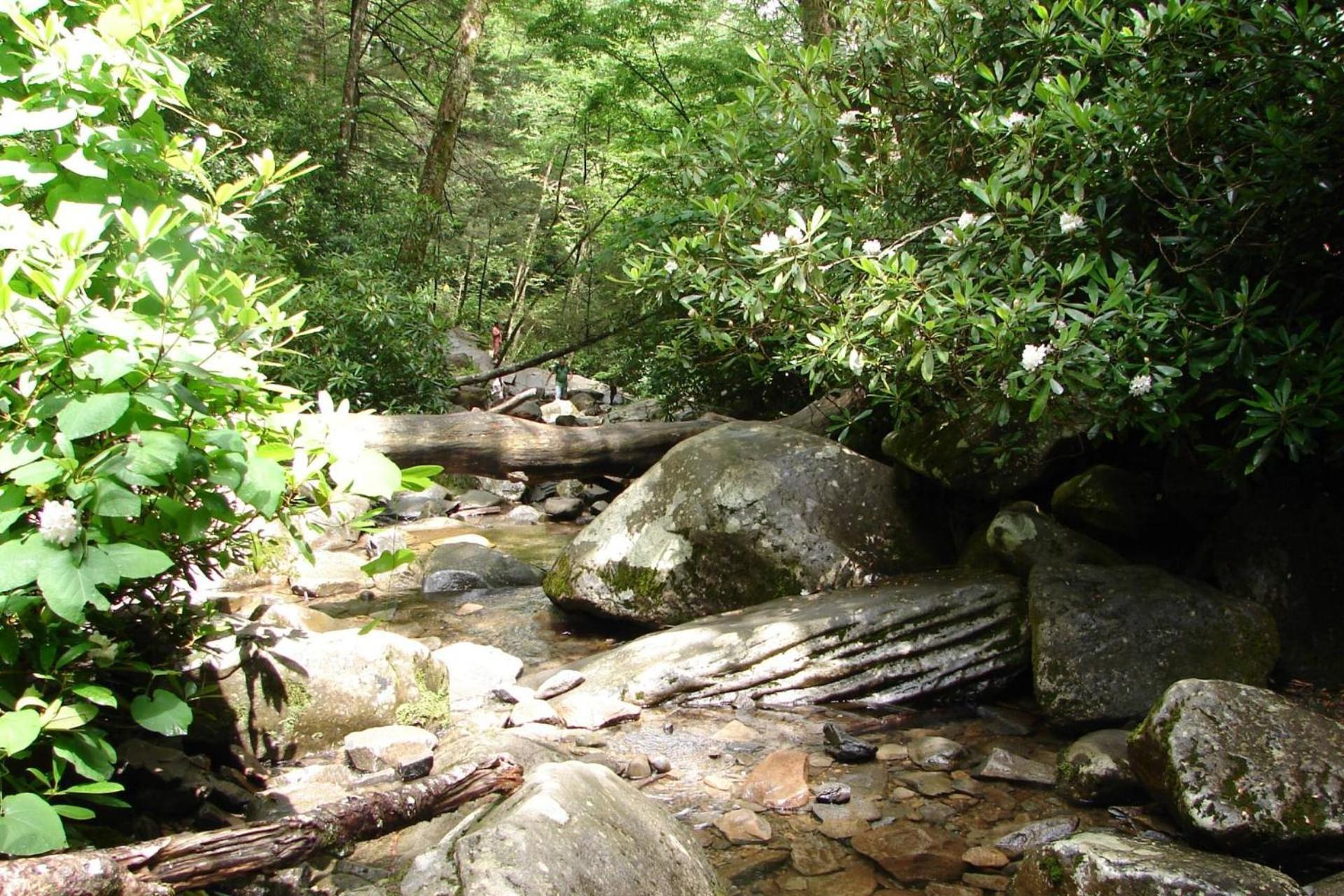 Hidden Hollow Pigeon Forge Extérieur photo